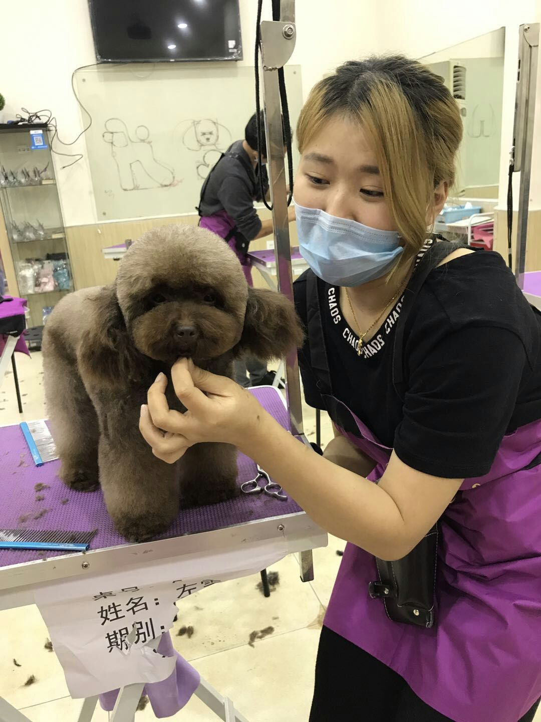 優秀作品