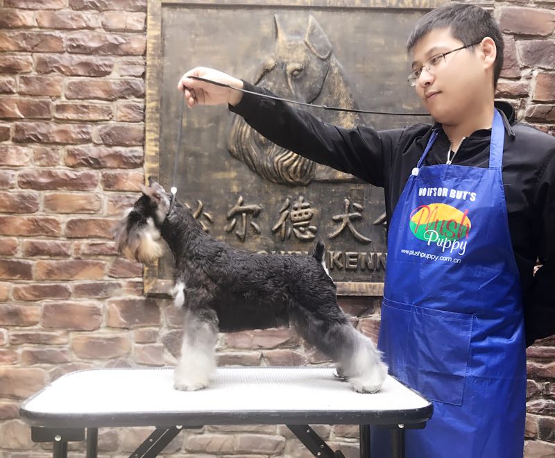 優秀作品
