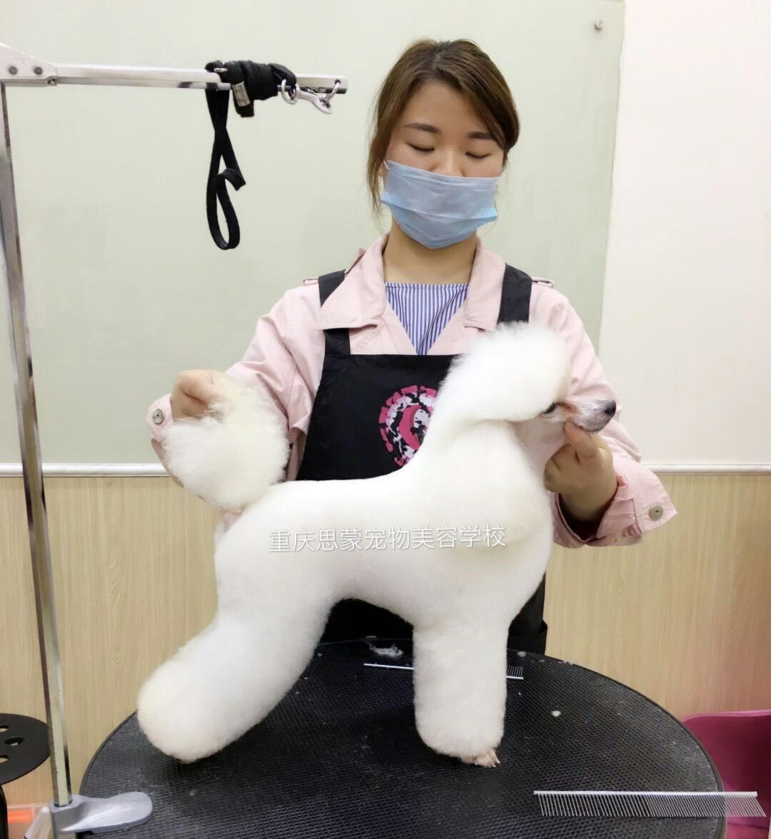 優秀作品