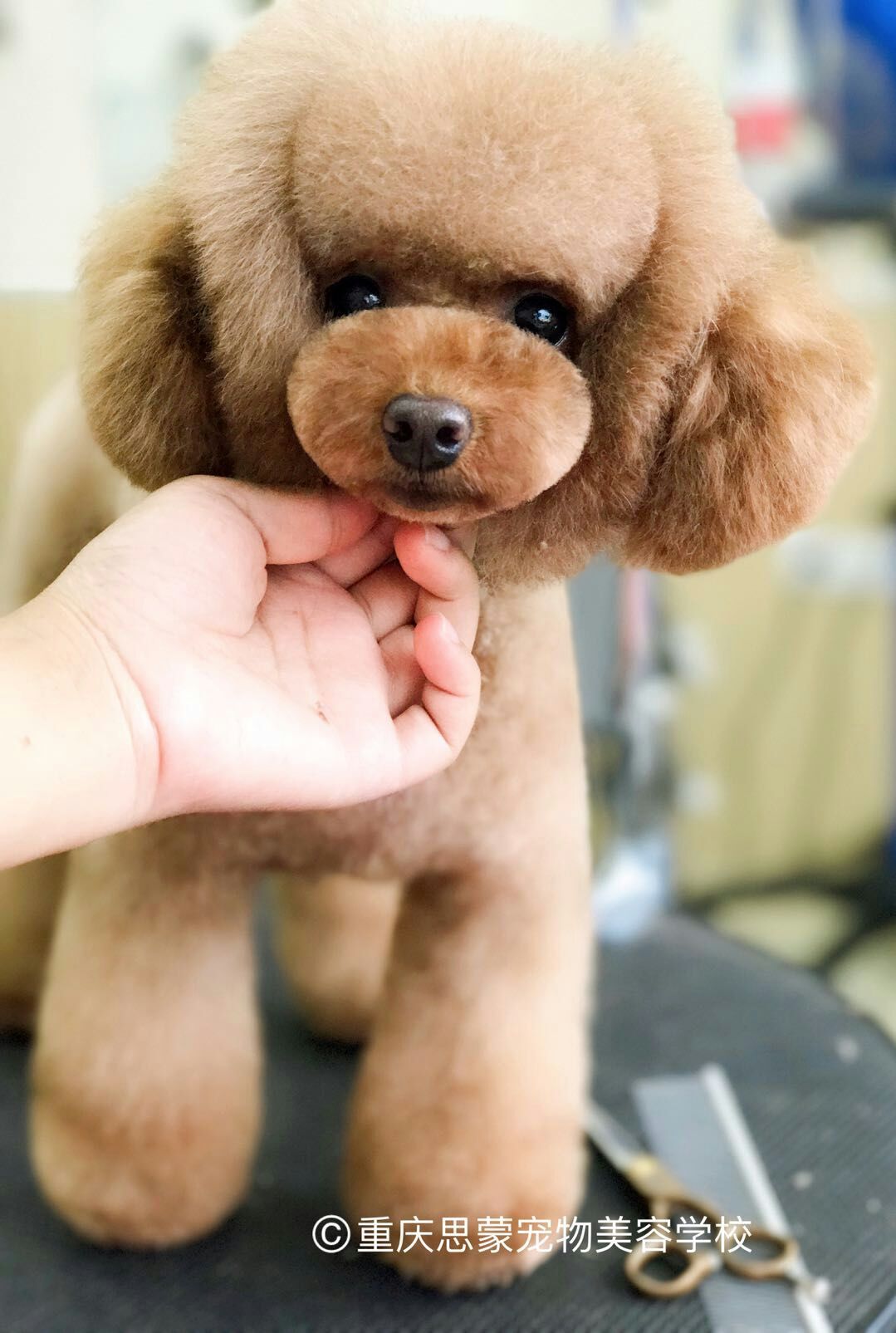 優秀作品