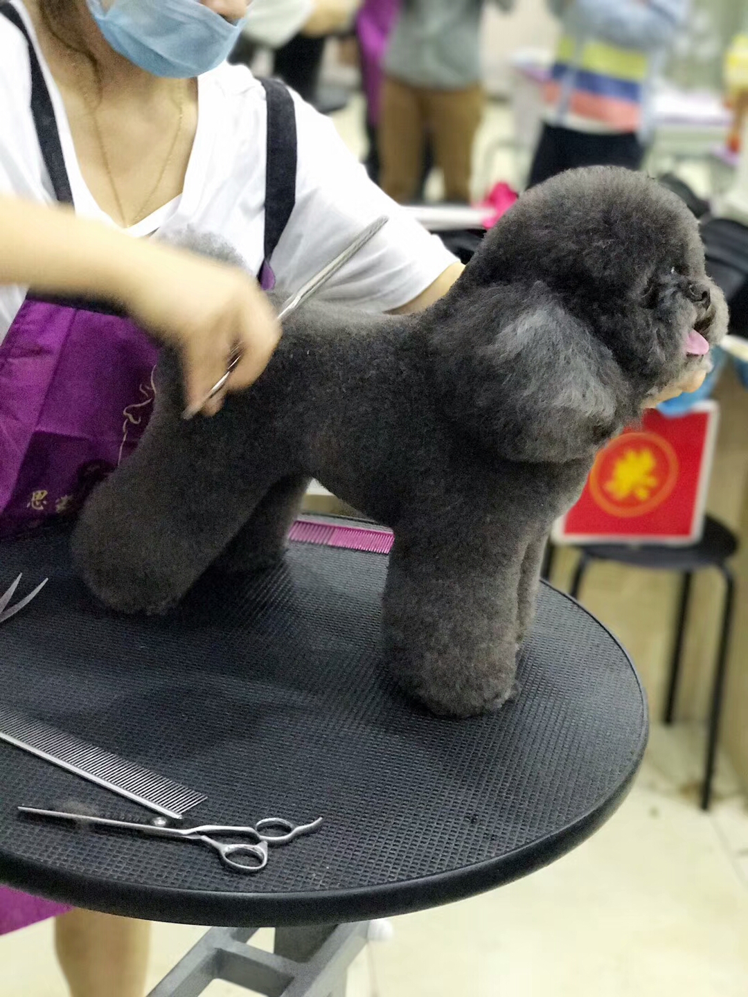 優秀作品