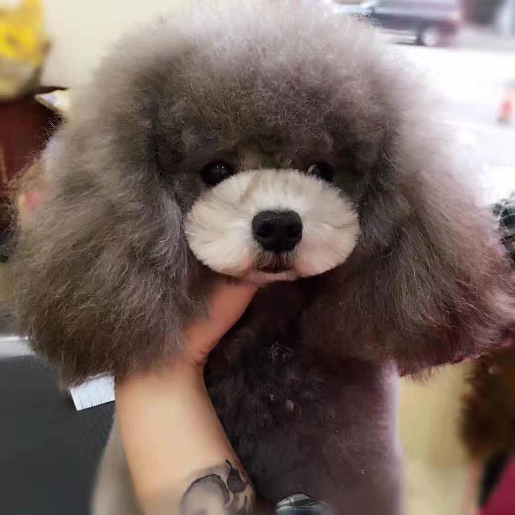 優秀作品