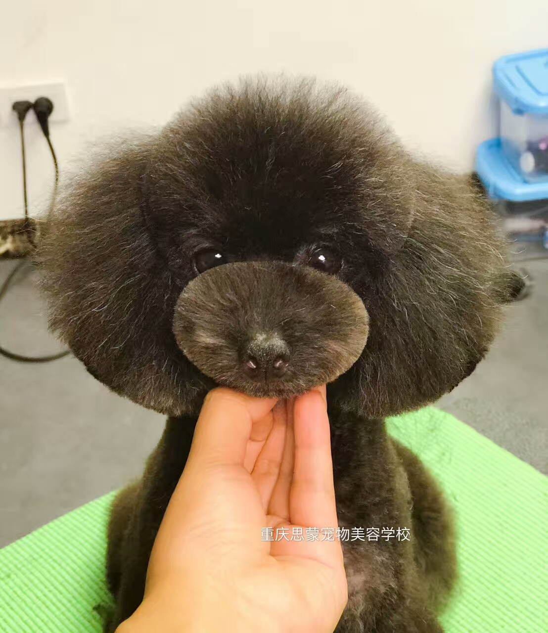 優秀作品