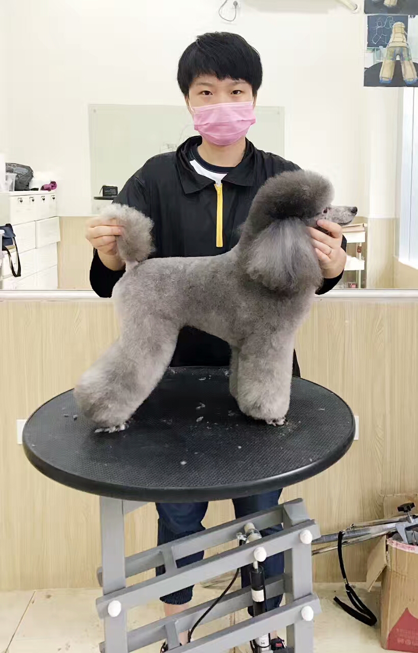 優(yōu)秀作品