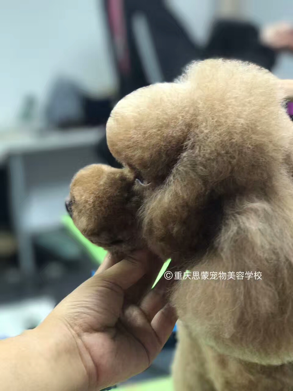 優(yōu)秀作品