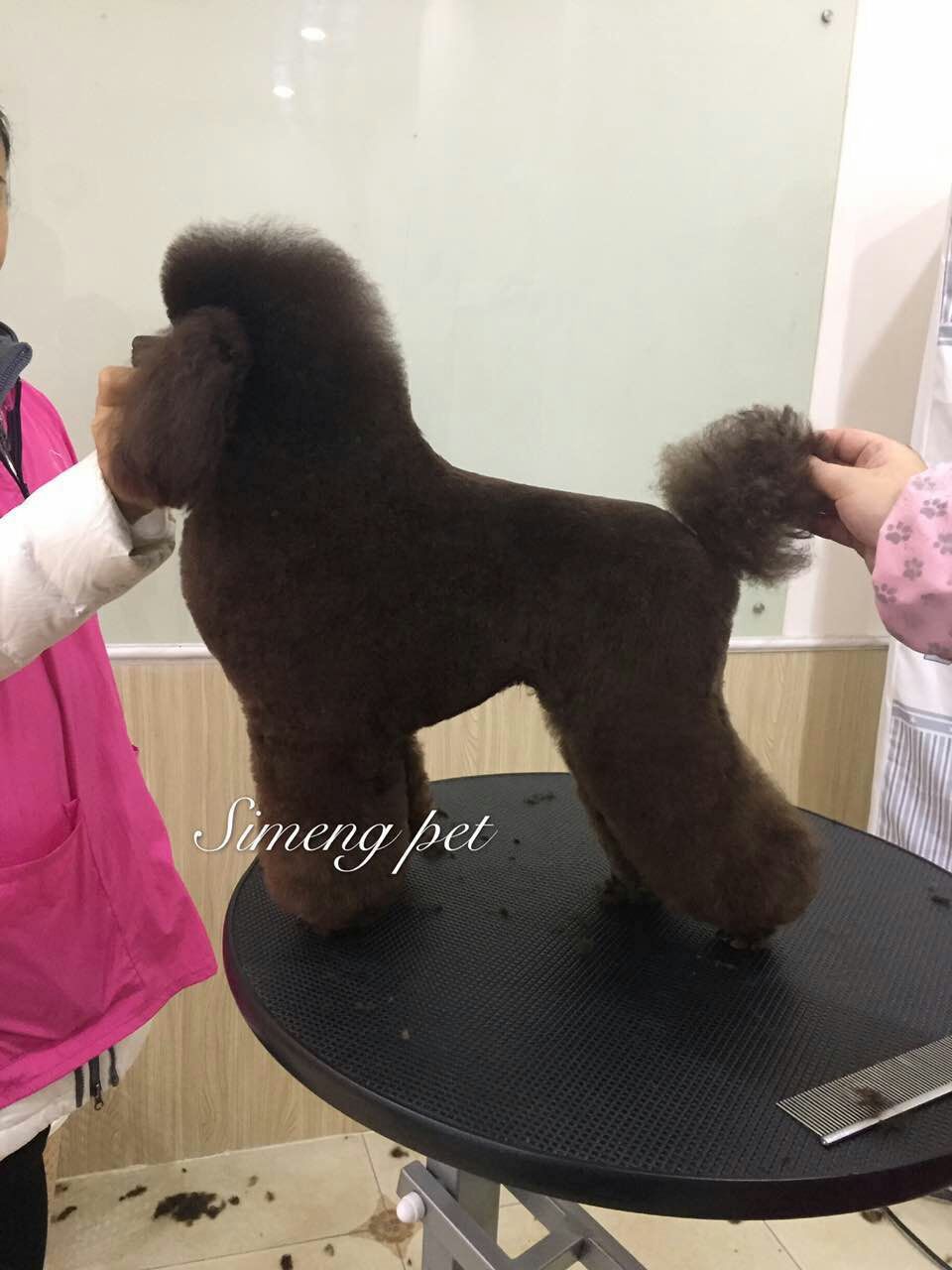 優(yōu)秀作品