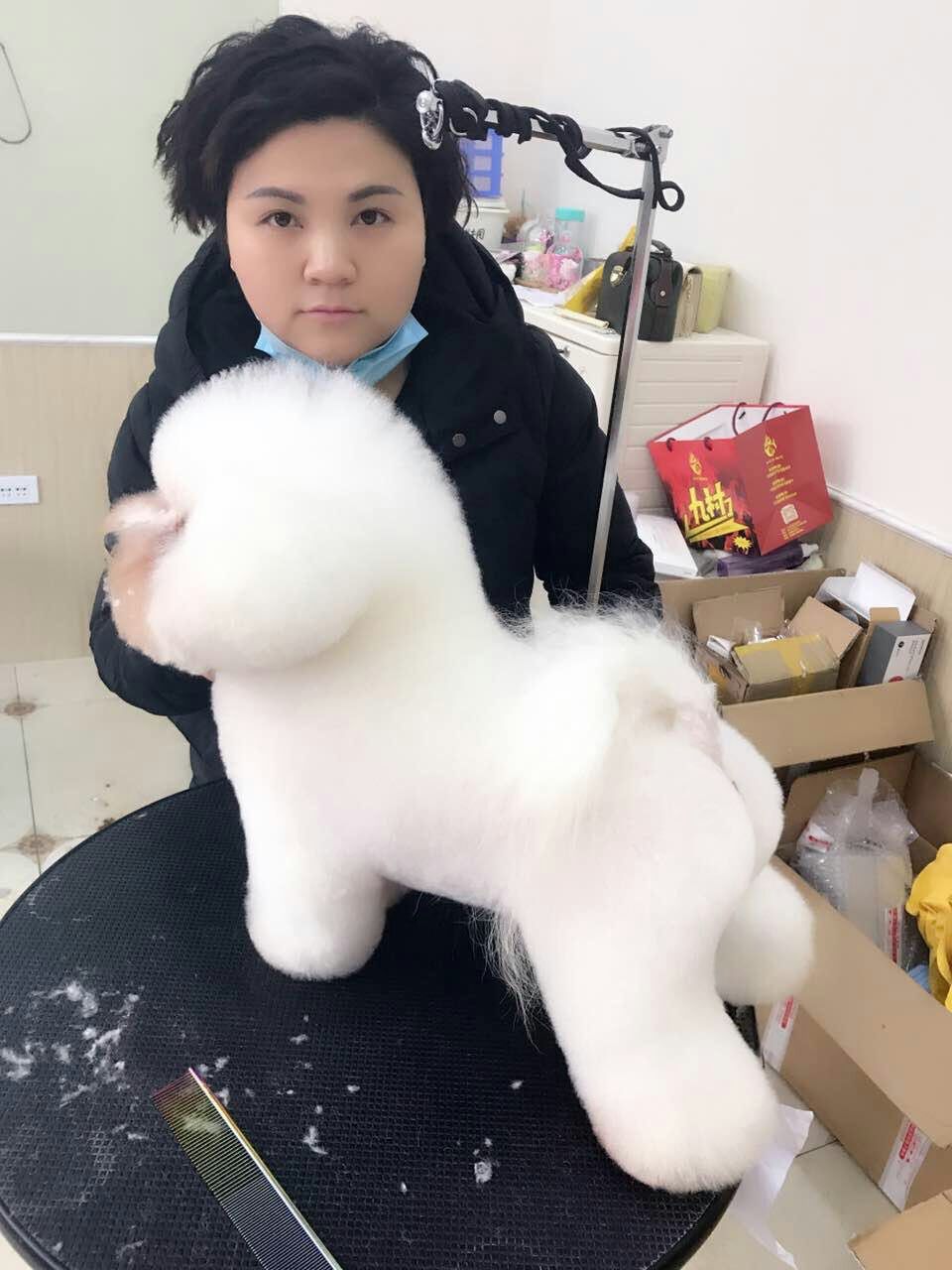 優秀作品