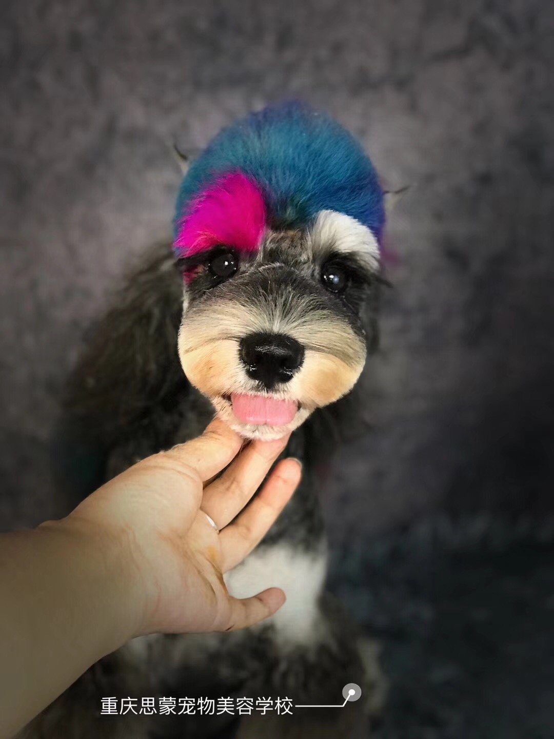 優秀作品