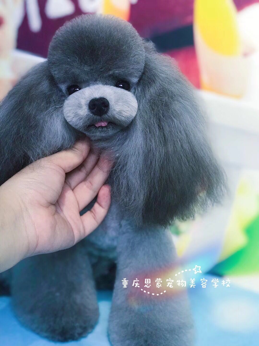 優(yōu)秀作品