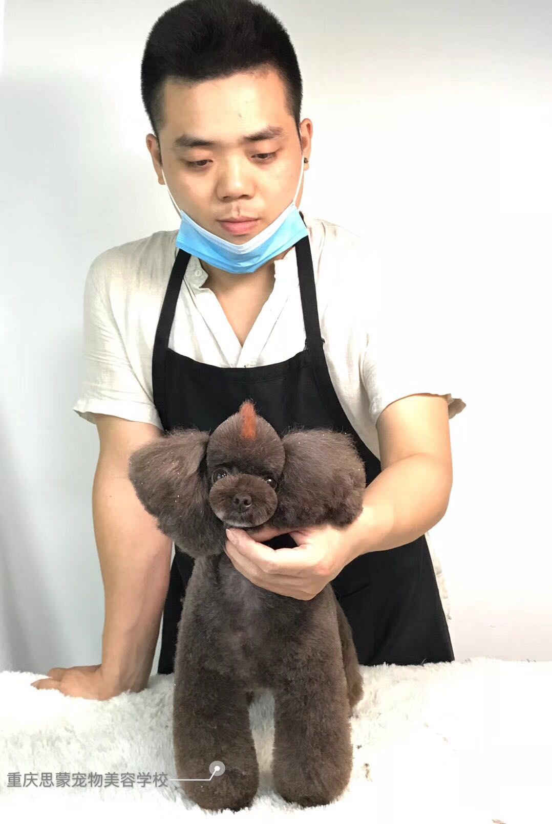 優(yōu)秀作品