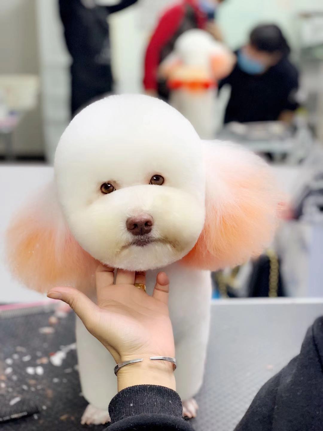 優秀作品