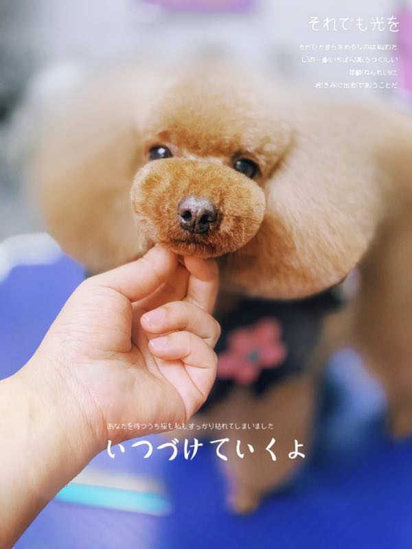 優秀作品