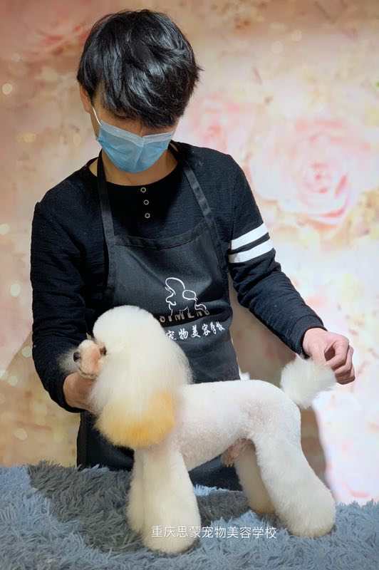 優秀作品