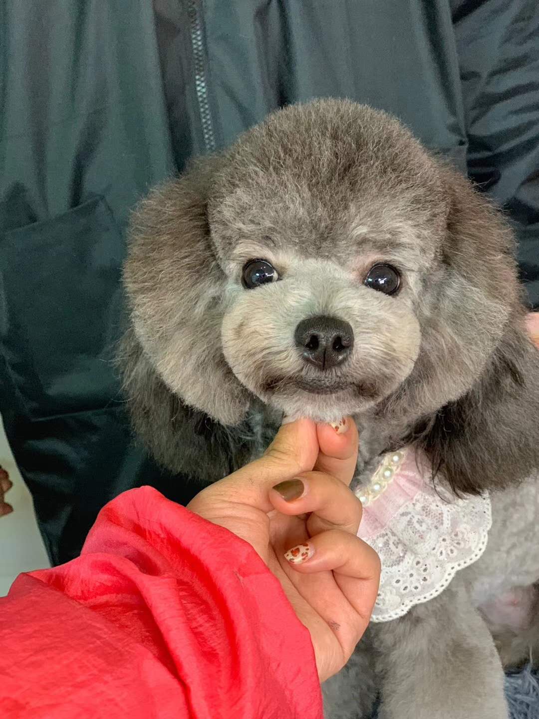 優秀作品