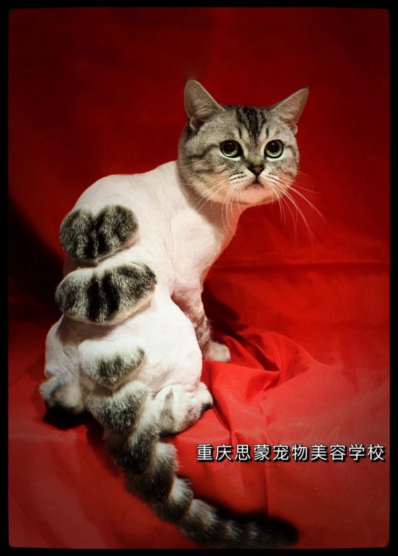 優秀作品