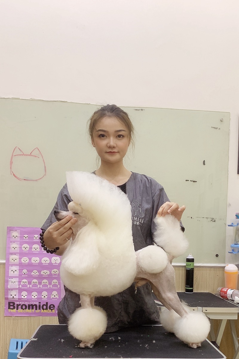 優秀作品