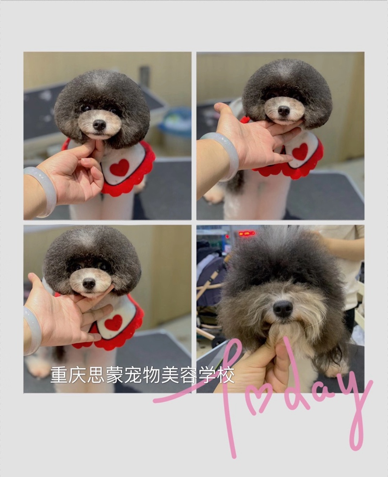 優秀作品