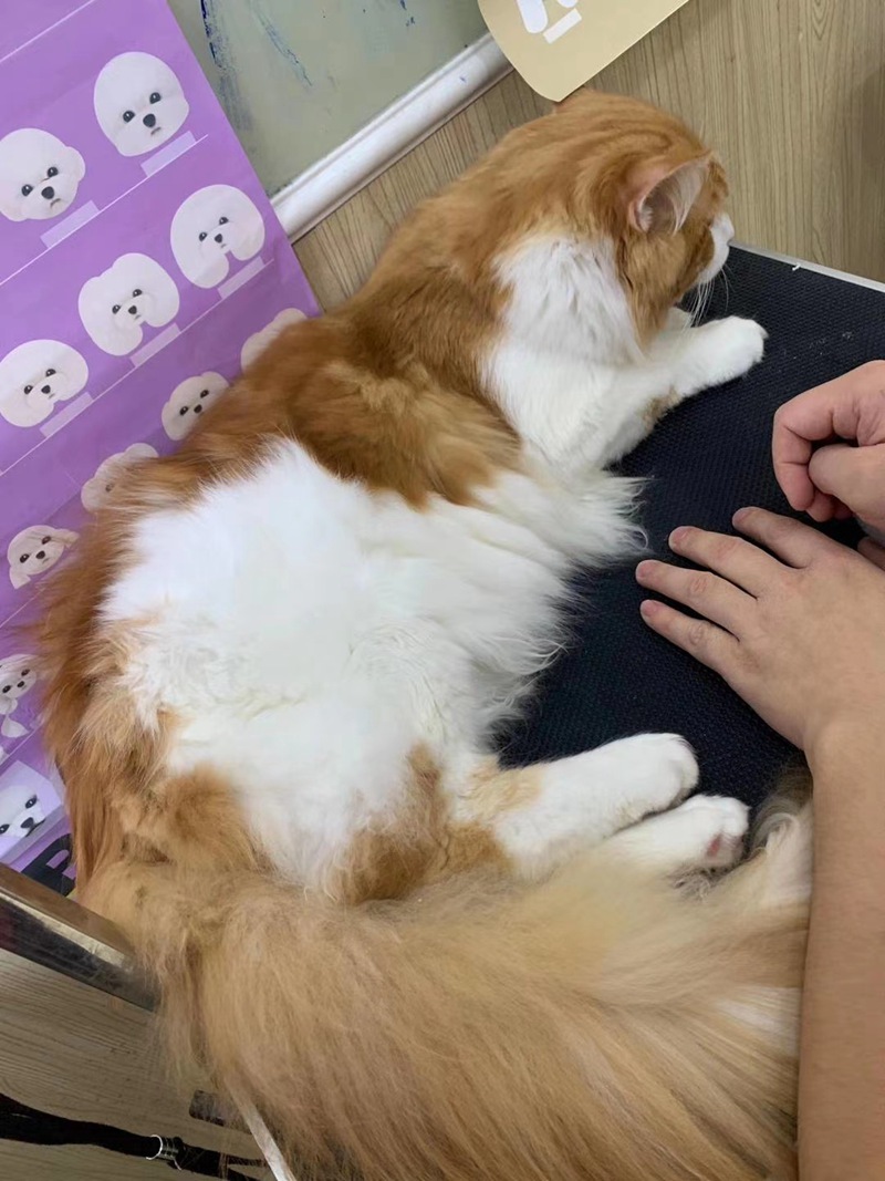 優秀作品