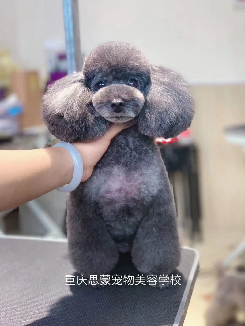 優秀作品