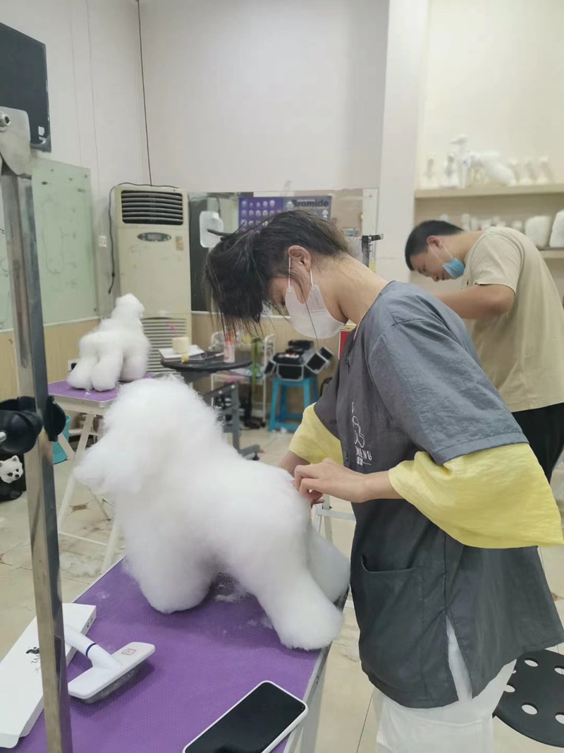 優秀作品