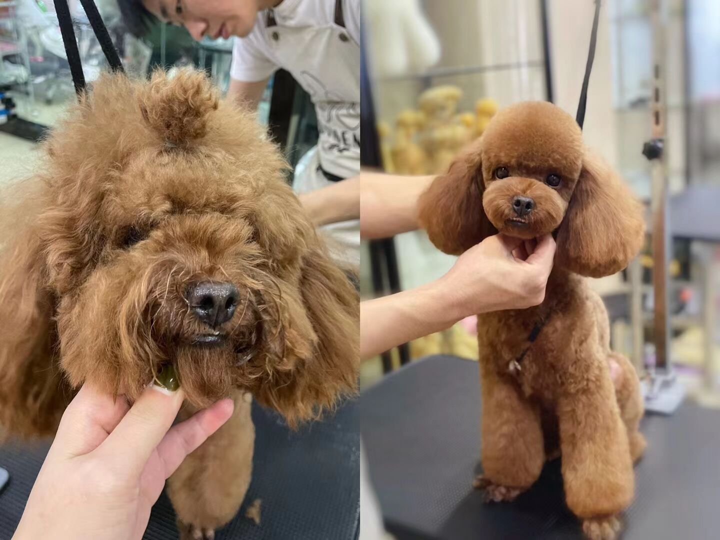 優秀作品