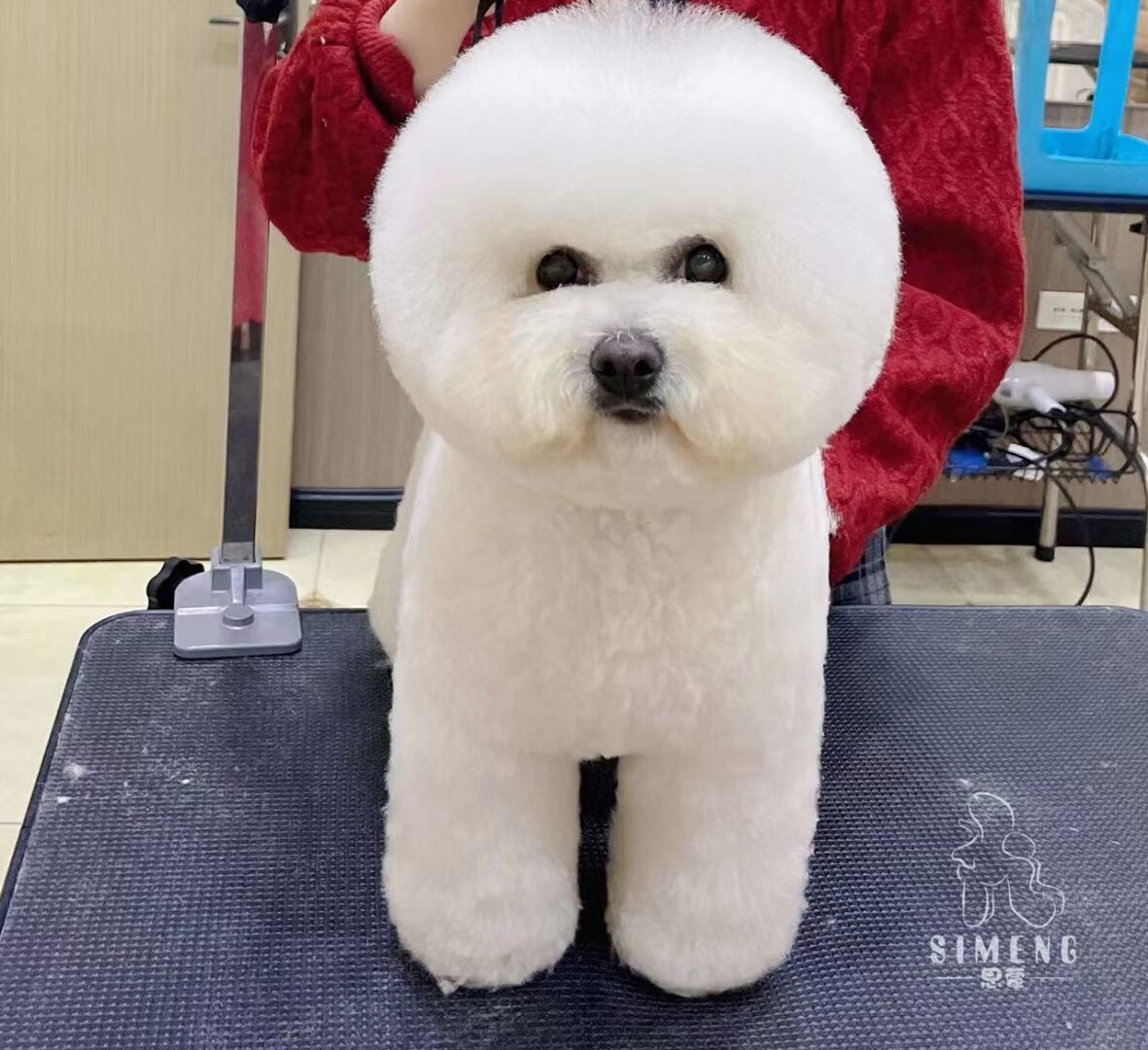 優秀作品