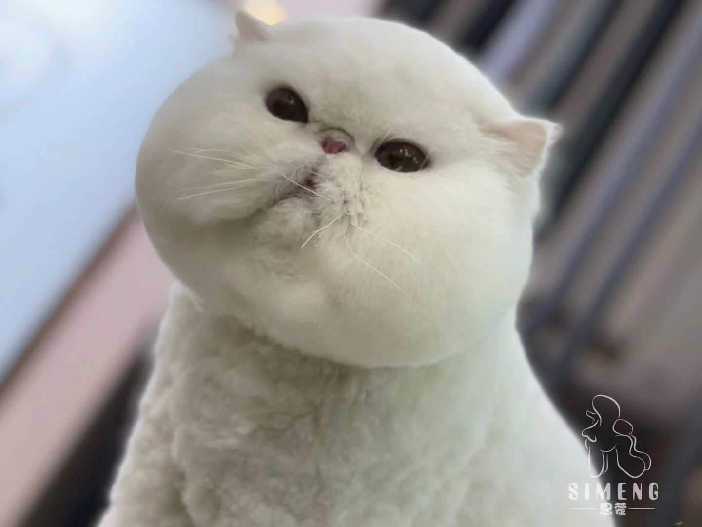 優秀作品