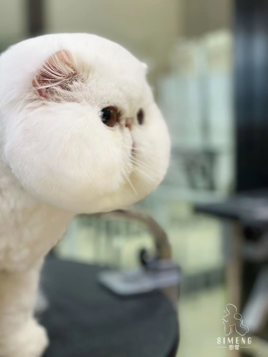 優秀作品