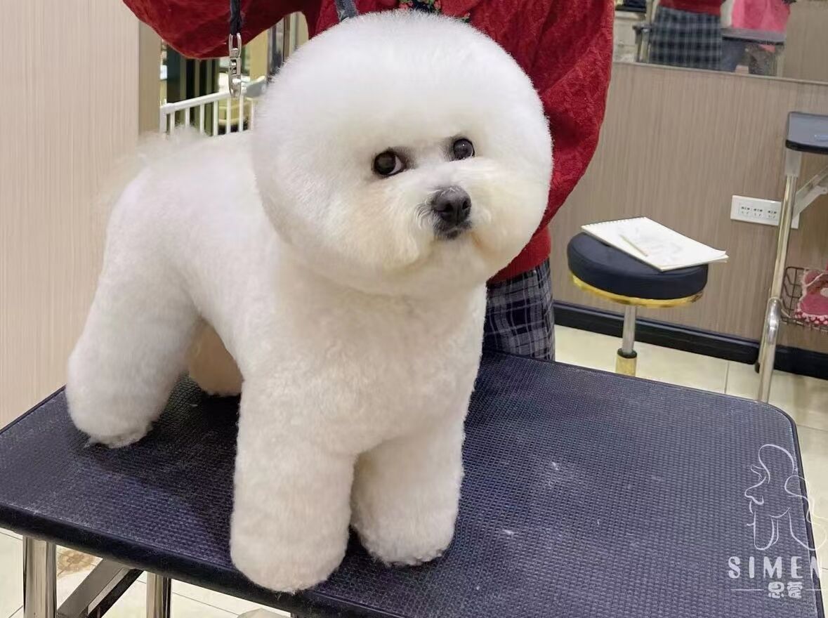 優秀作品