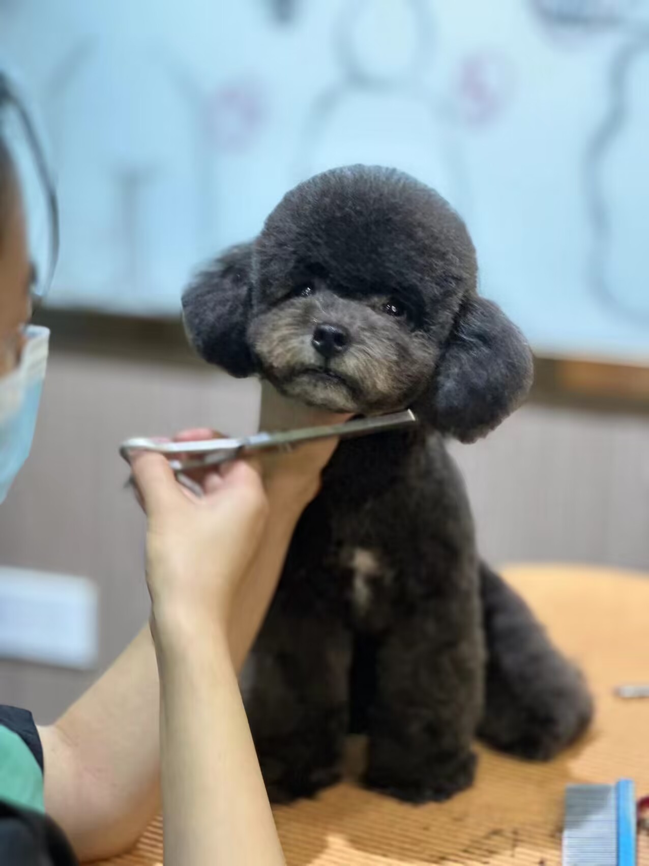 優(yōu)秀作品