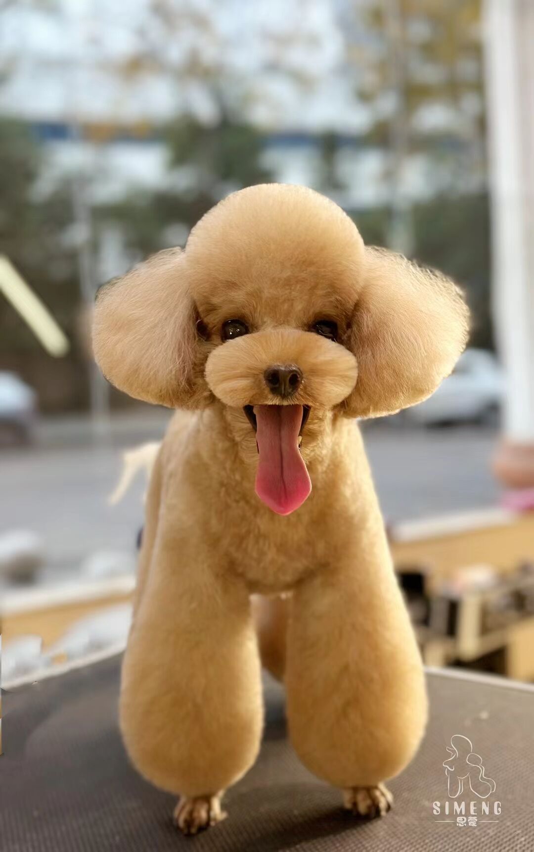 優秀作品