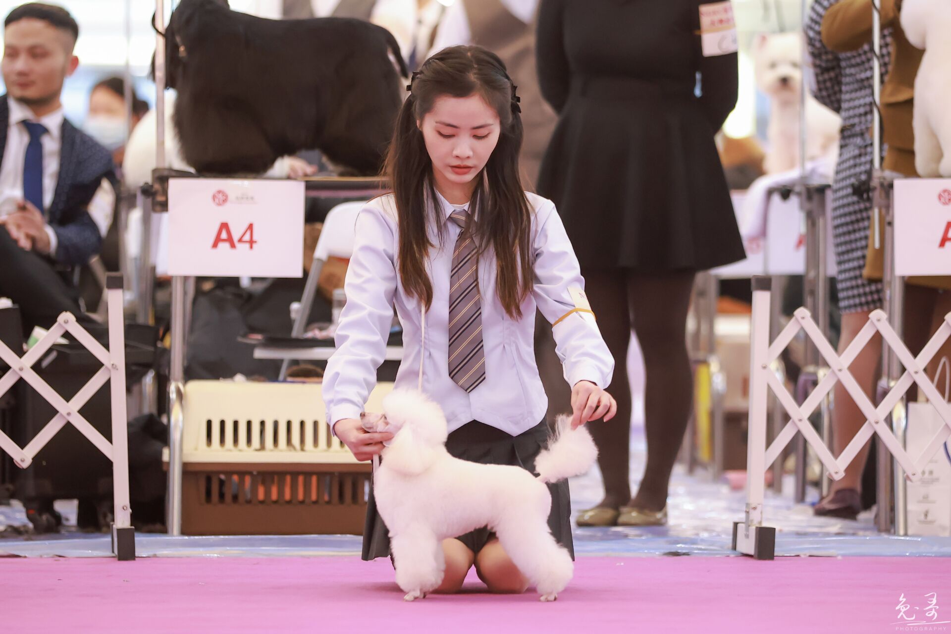 我們的榮譽