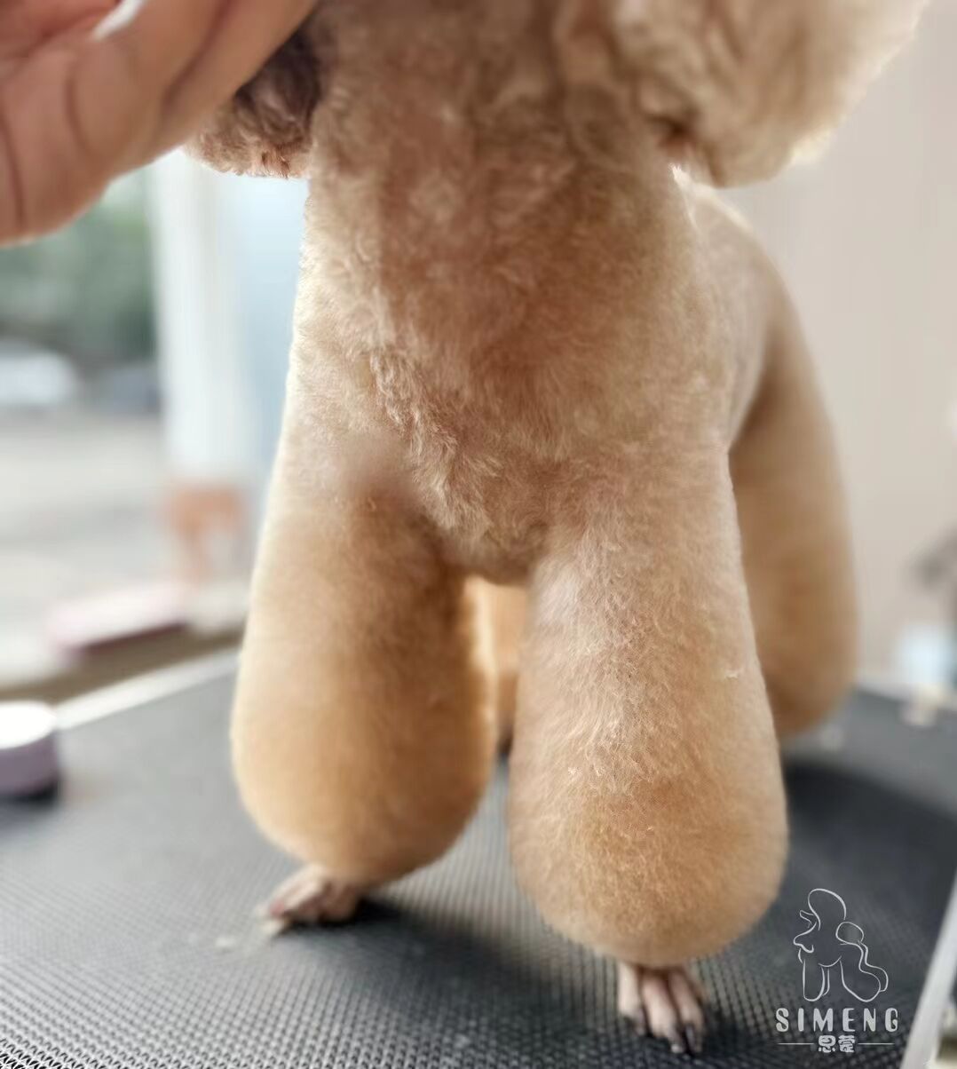 優秀作品