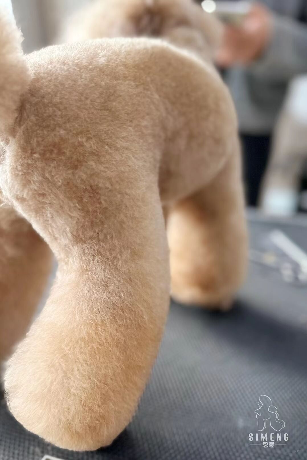 優秀作品