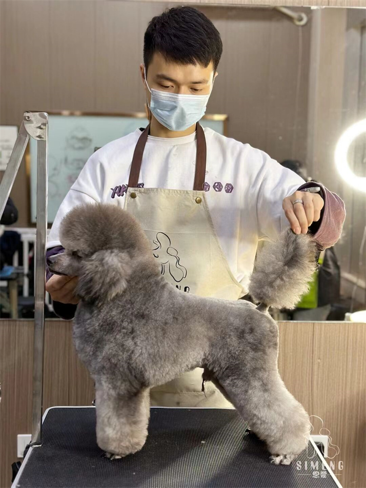 優秀作品