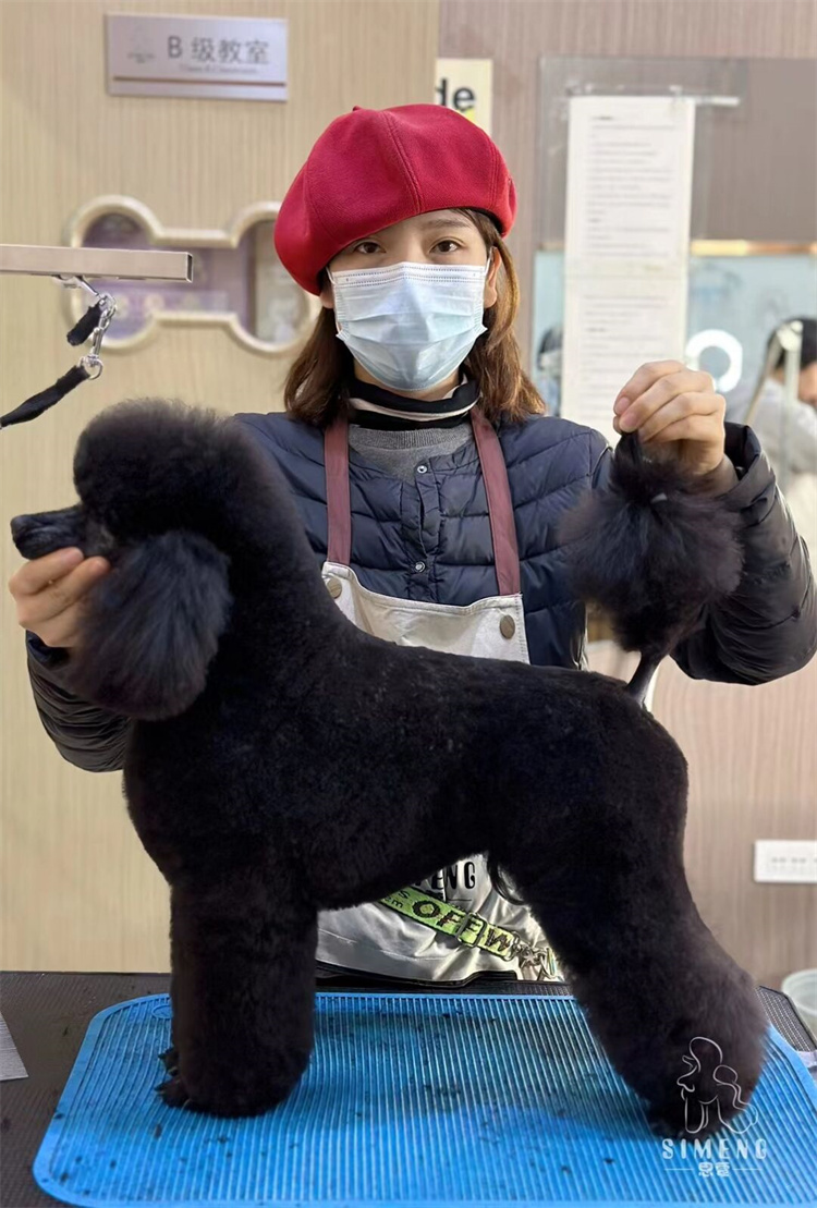 優秀作品