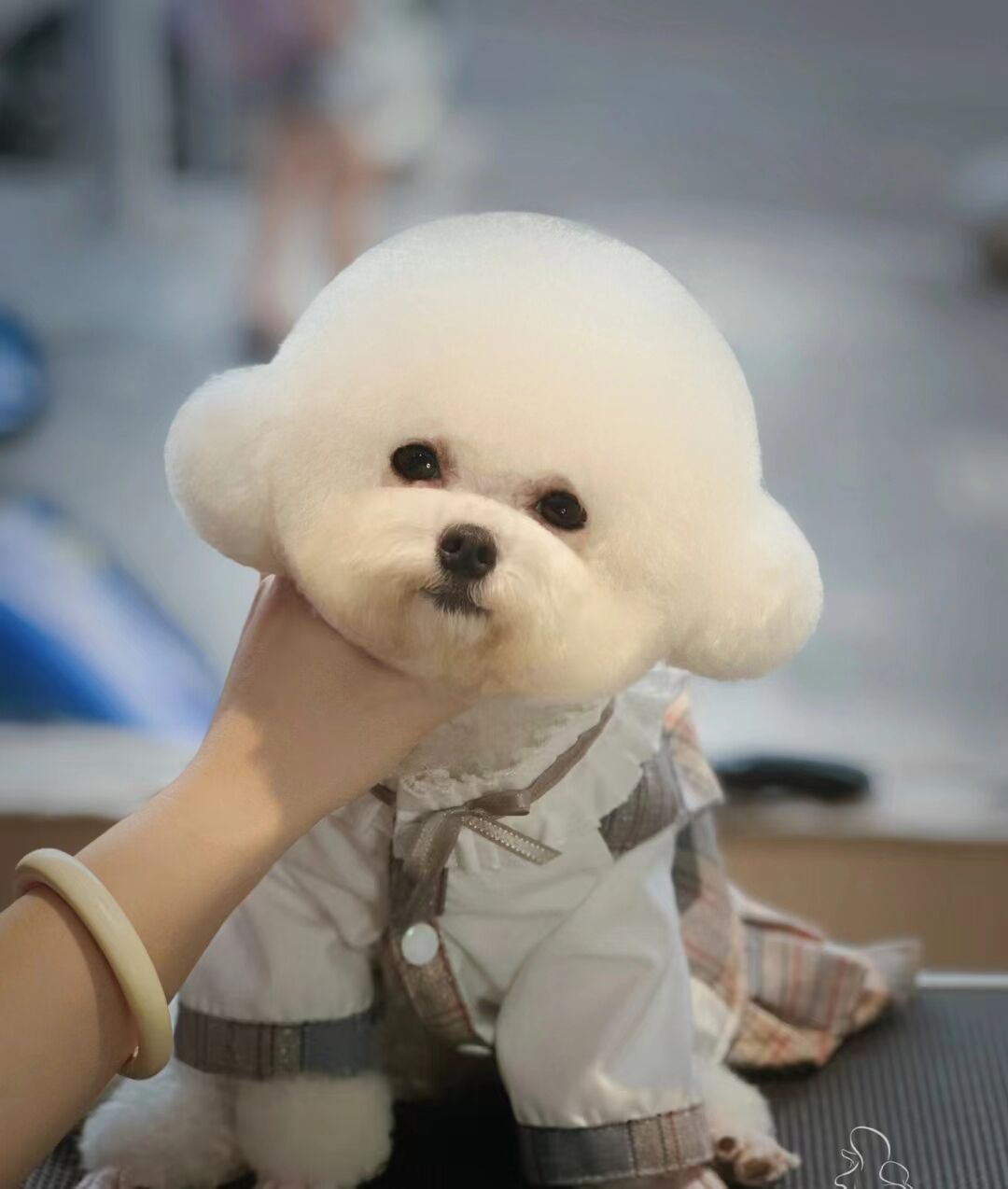 優秀作品