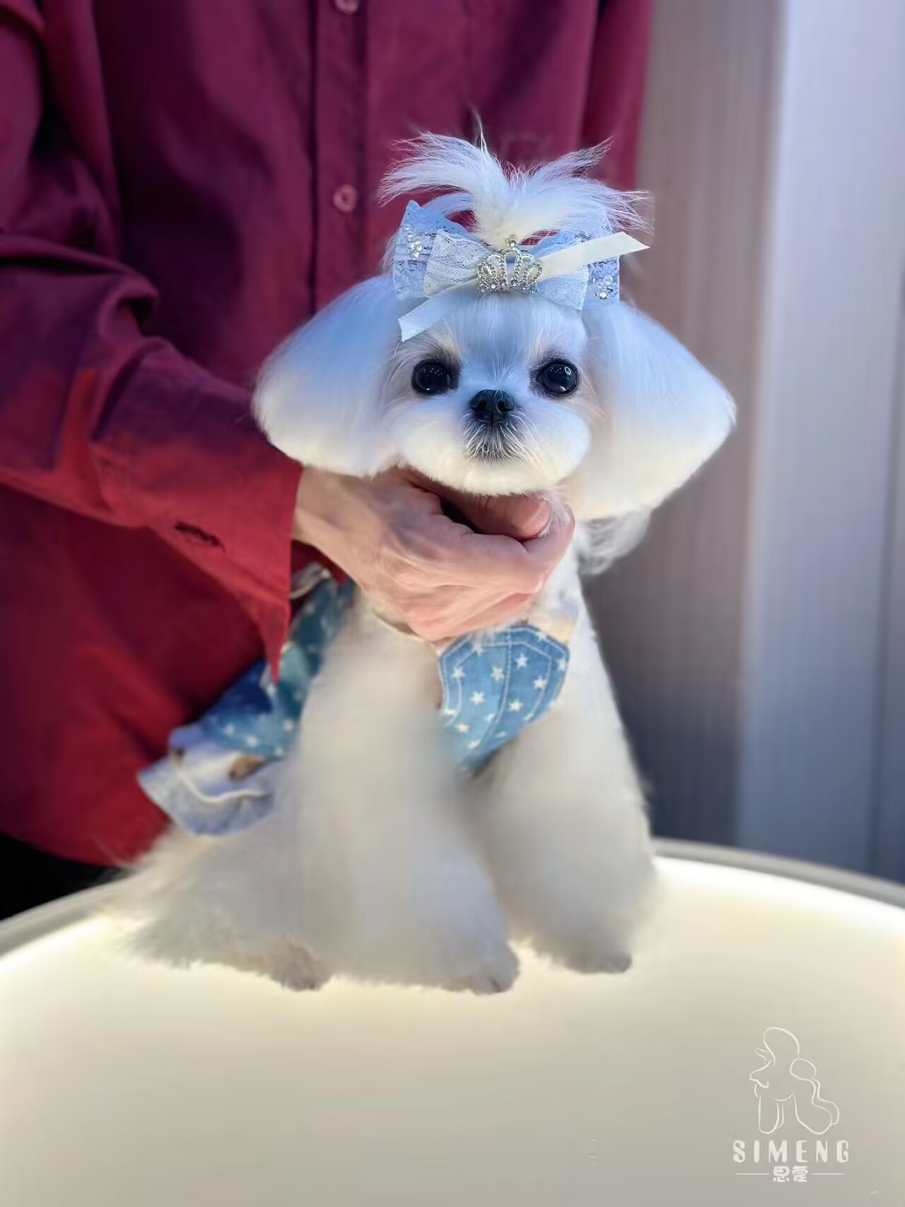 優秀作品