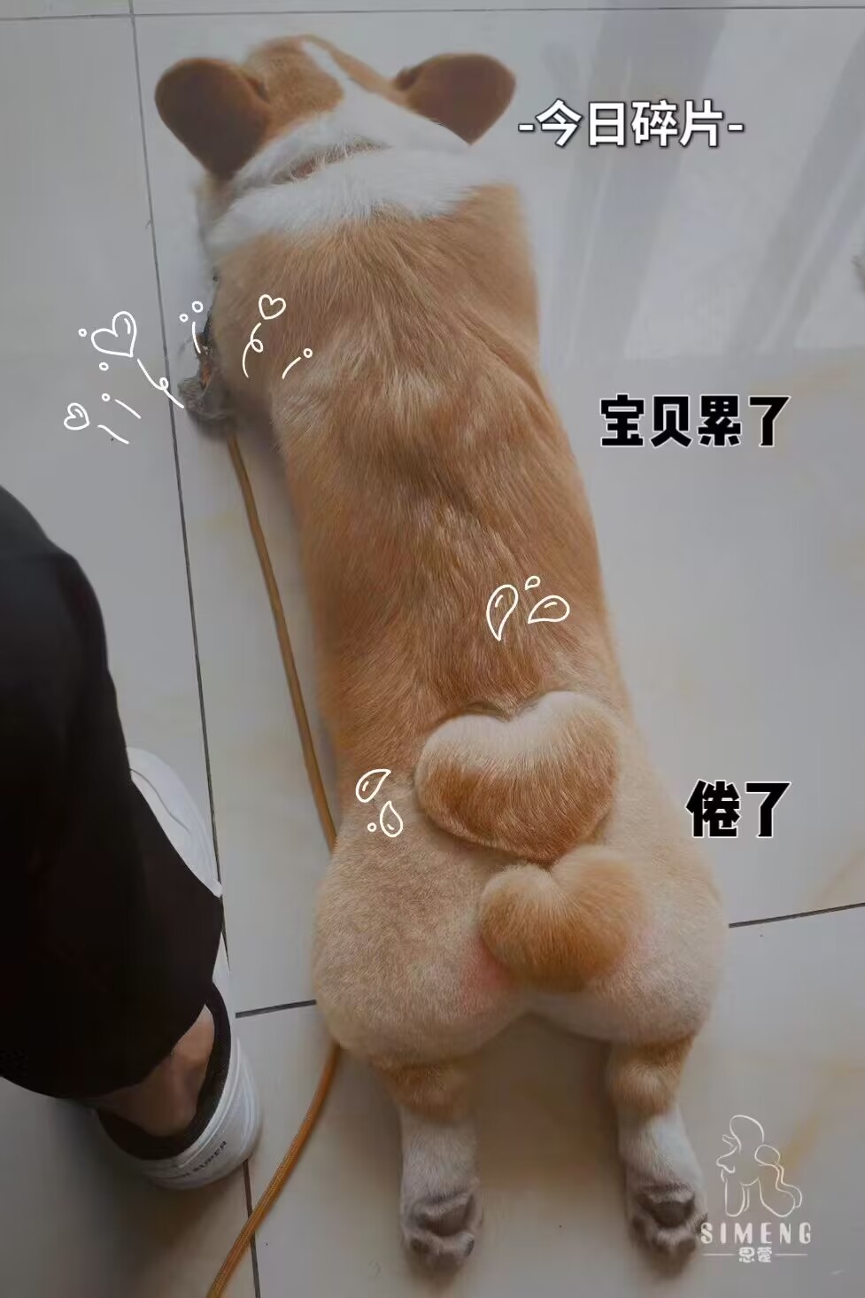 優秀作品