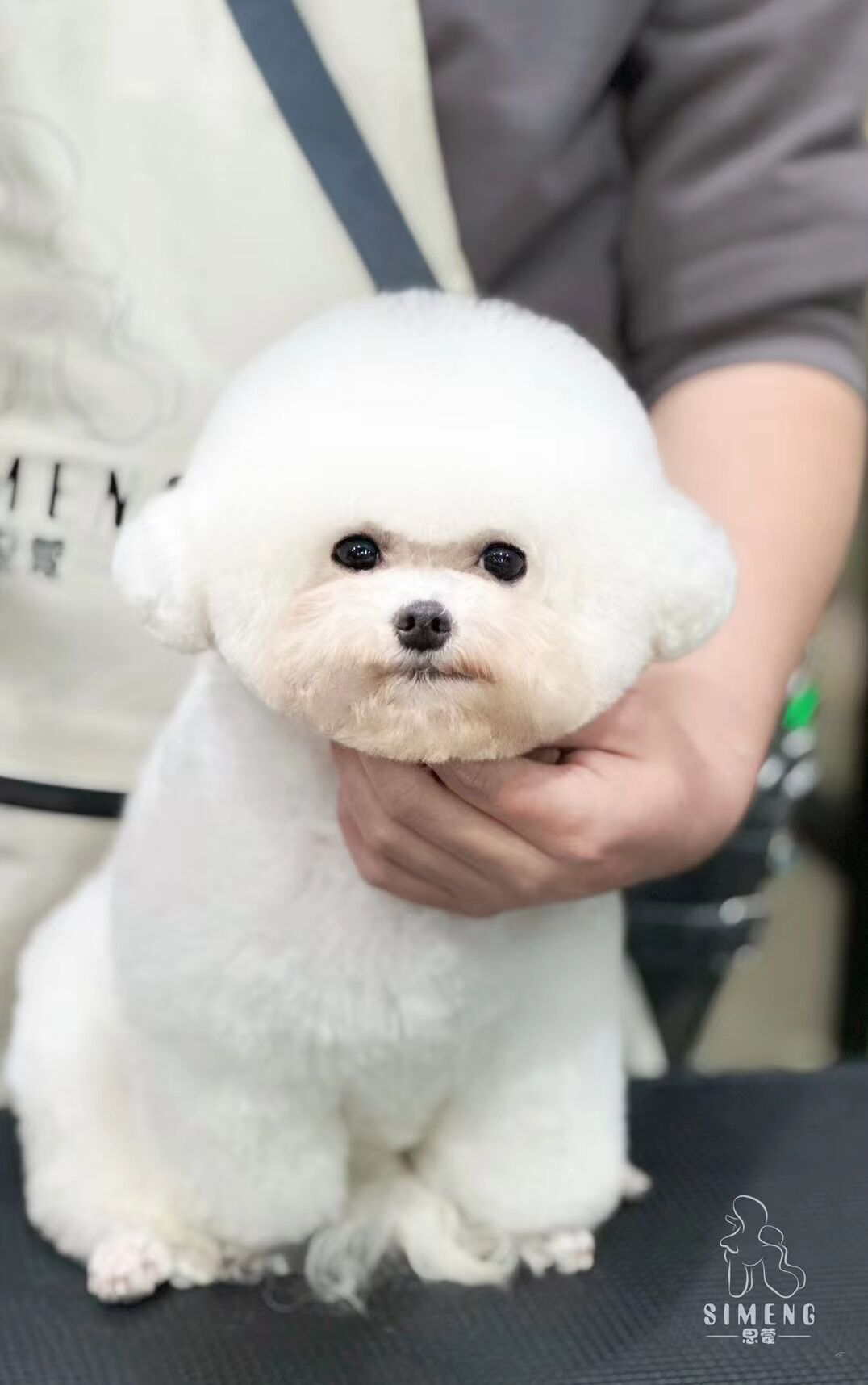 優秀作品