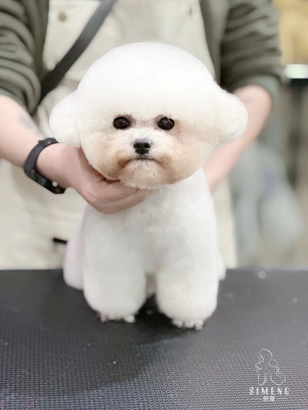 優秀作品