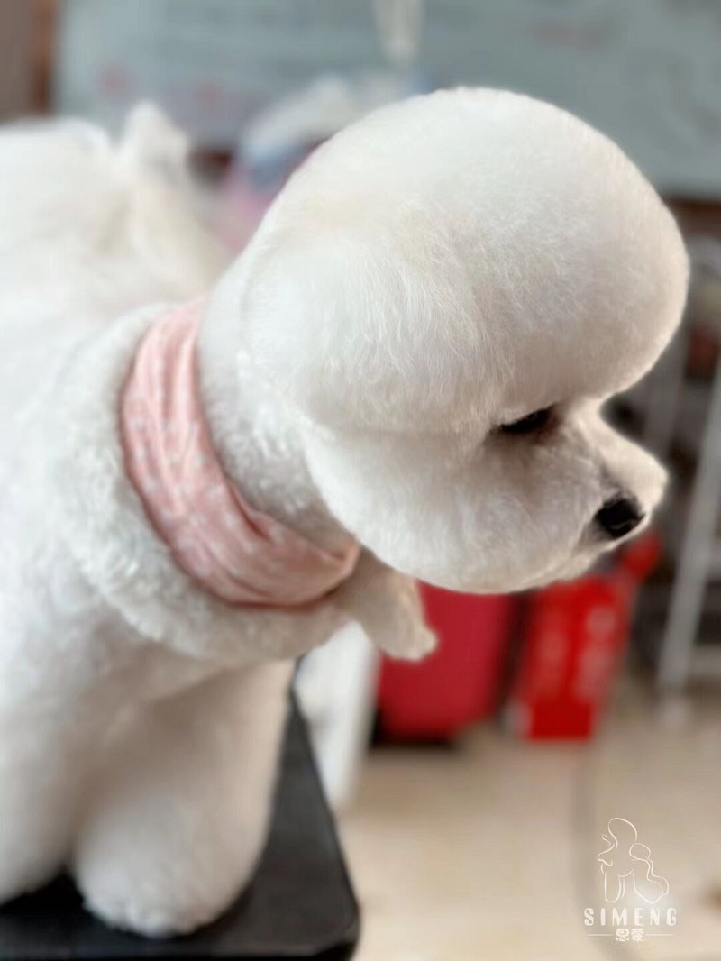 優(yōu)秀作品