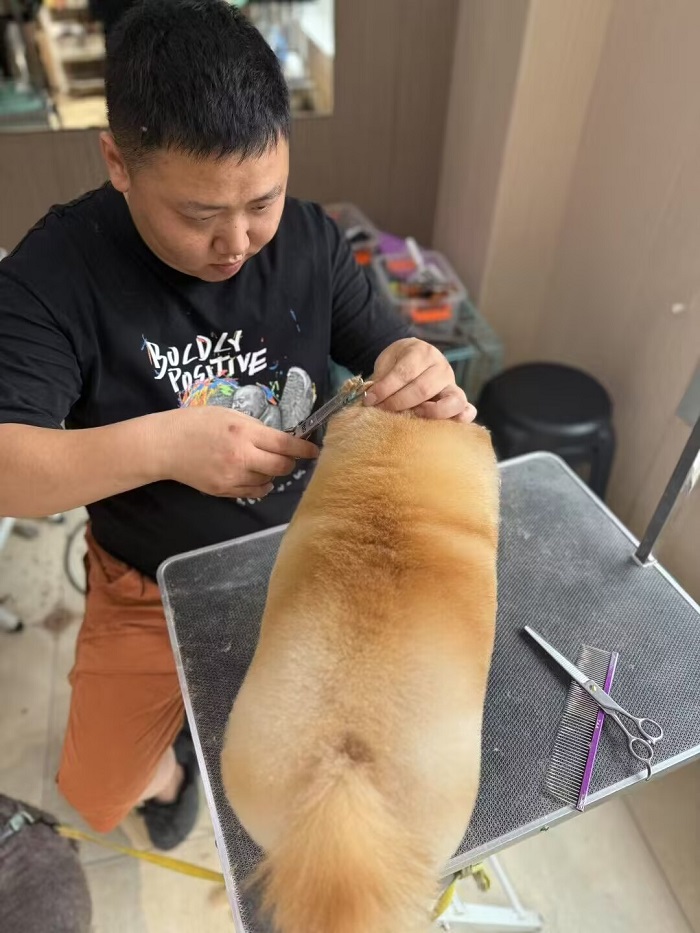 優(yōu)秀作品