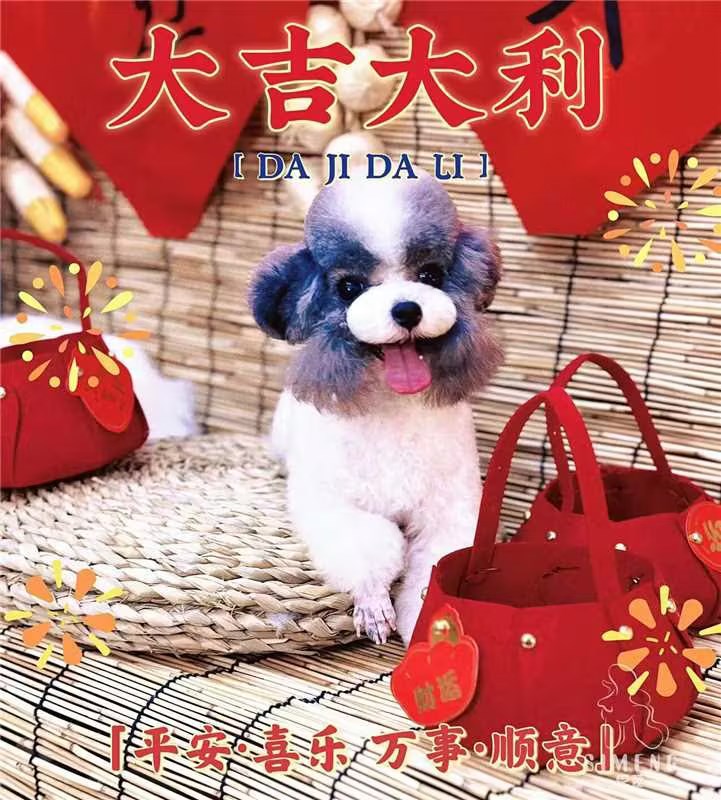 優秀作品