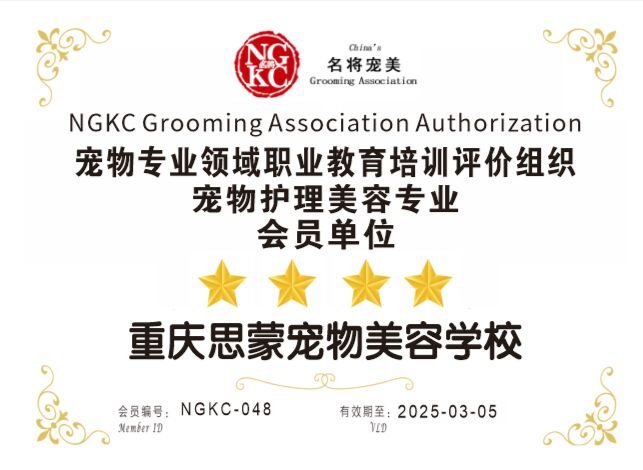  我們的榮譽