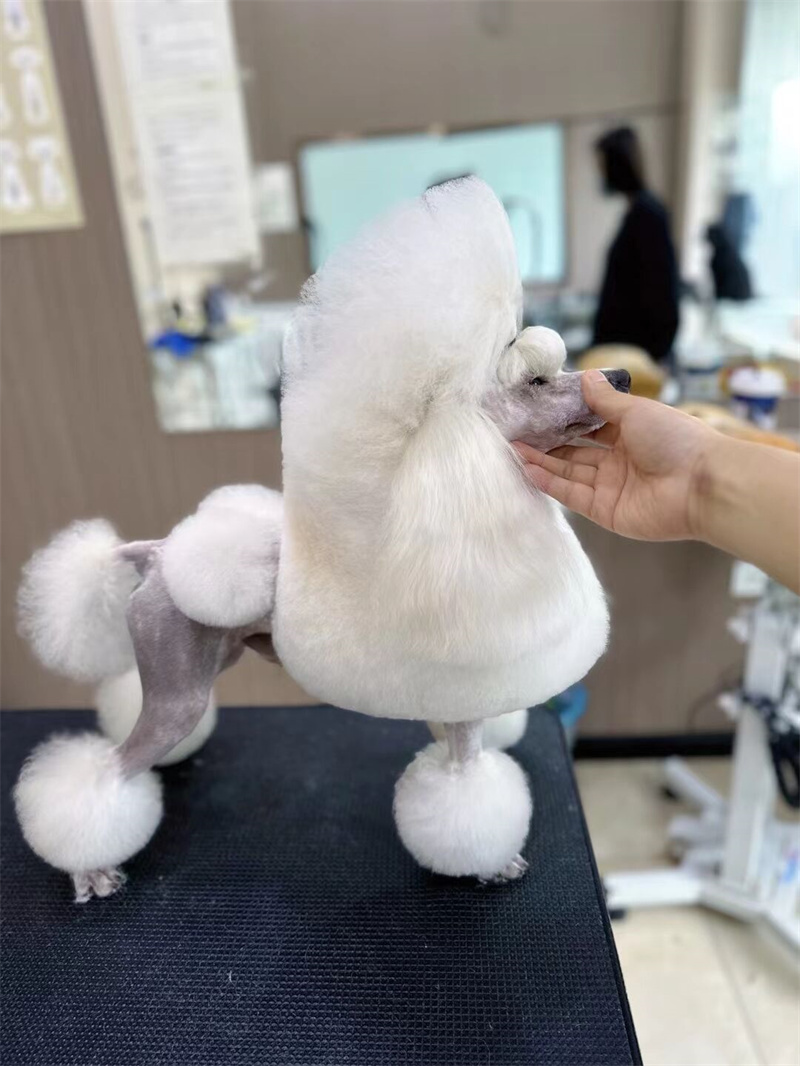優(yōu)秀作品