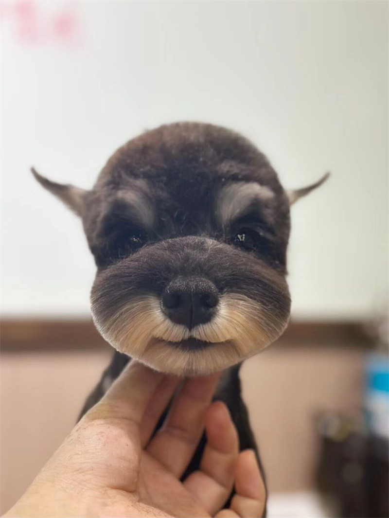 優(yōu)秀作品