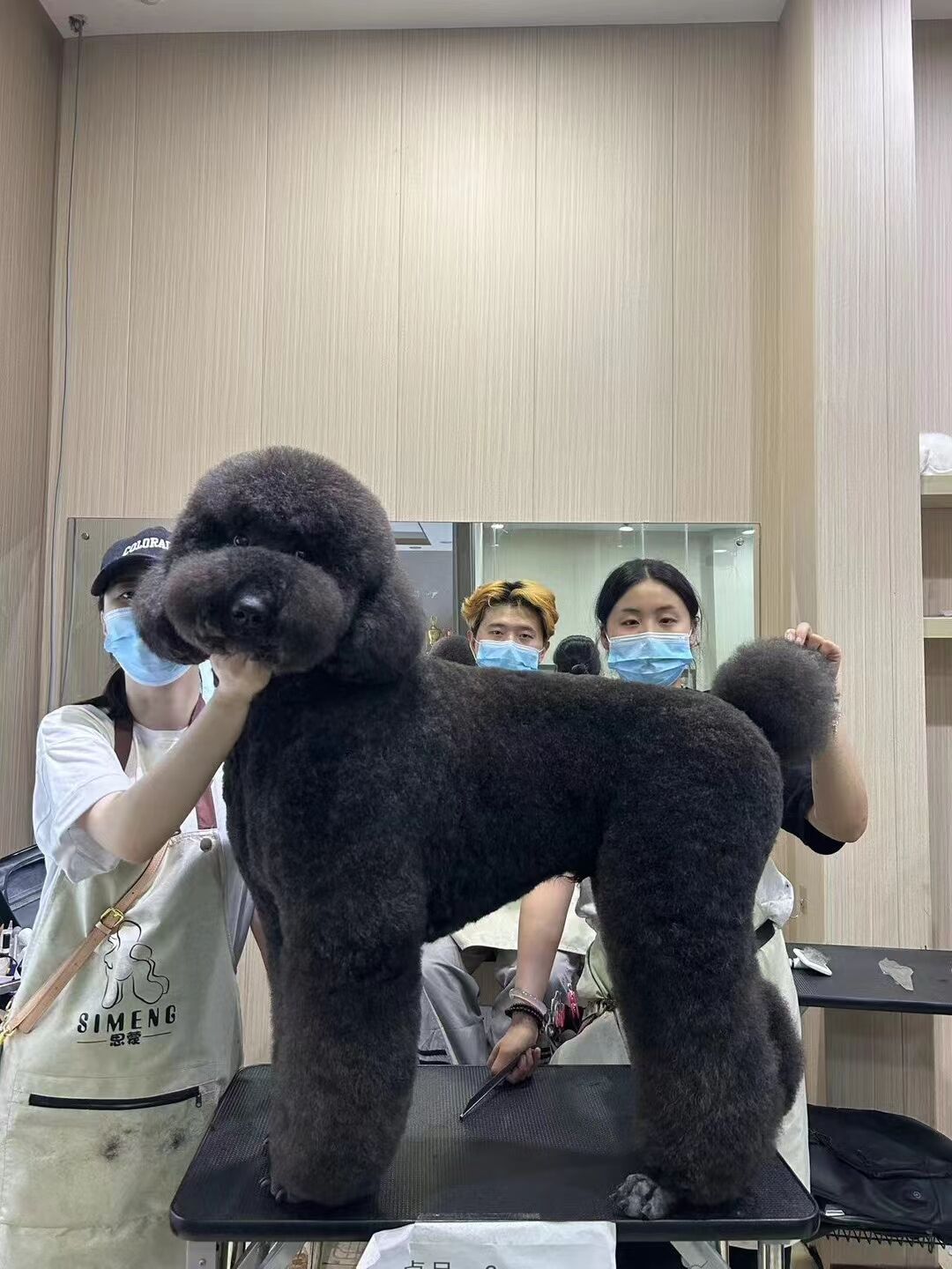 優(yōu)秀作品
