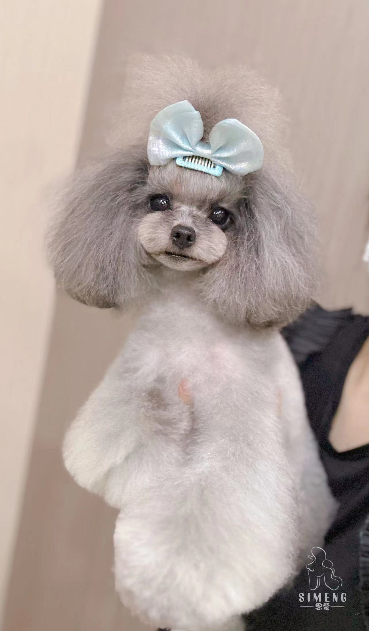 優秀作品