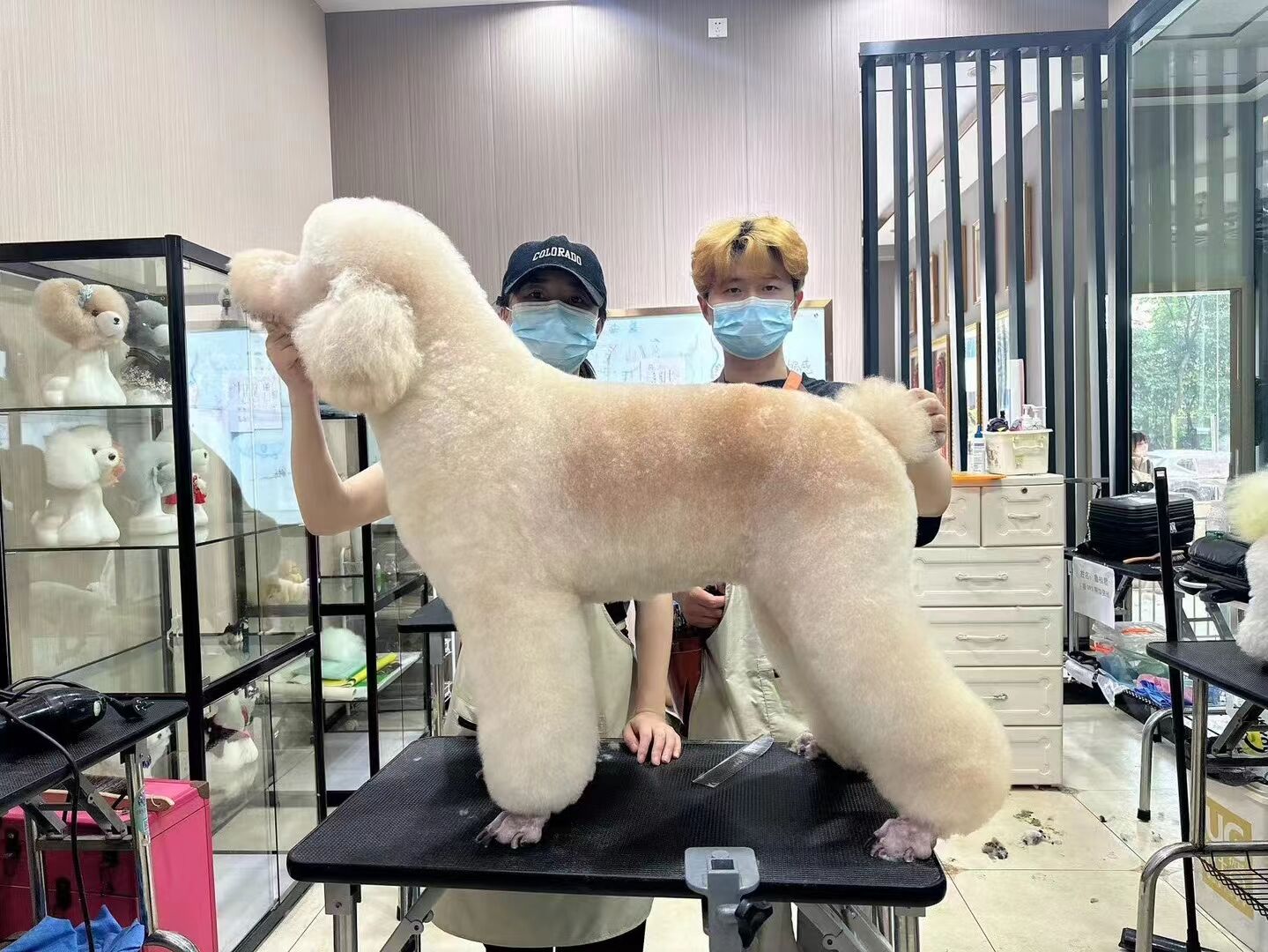 優秀作品